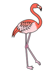 手描きのフラミンゴのイラスト素材