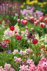 Explore the joy of springtime awakening with blossoming flowers, chirping birds, and gentle breezes carrying the scent of fresh blooms, Generative AI