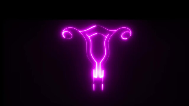 This is female reproductive system and is consisted of overy. Uterus and vagina. The system becomes reproductive after puberty.