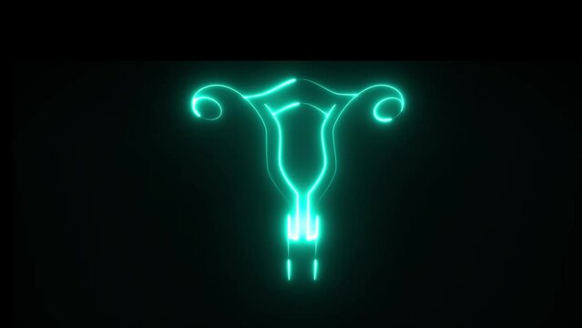 This is female reproductive system and is consisted of overy. Uterus and vagina. The system becomes reproductive after puberty.