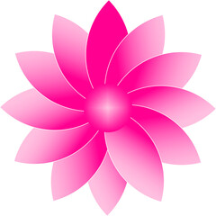 Fototapeta premium illustration of a pink flower