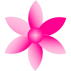 illustration of a pink flower