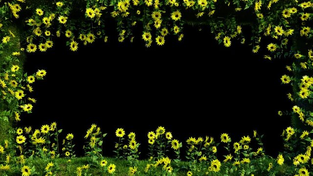 Sunflower Meadow Frame Alpha motion footage for seasanal  films and cinematic in sunflawer scene. Also good background for scene and titles.