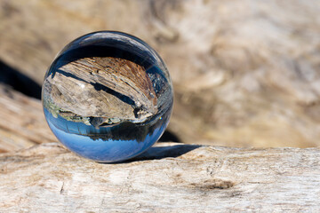 Photography lens ball reflecting the image of an old weathered piece of driftwood.