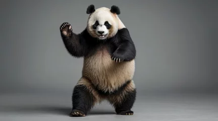 Zelfklevend Fotobehang giant panda bear © Yves