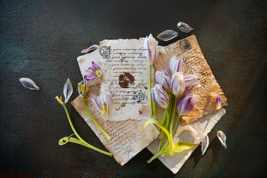 Journal pagJournal pages and tulips es and tulips 