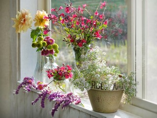 flowers in pots