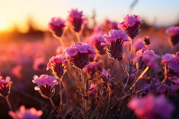 Tuinposter Purple flowers against a sunset backdrop, a beautiful natural landscape © yuchen