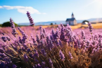 Foto auf Acrylglas Vibrant lavender field with distant church, under a violet sky © yuchen