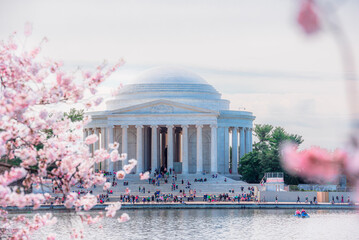 Washington, DC at the Tidal Basin and Thomas Jefferson Memorial during cherry blossom festival in spring season.
