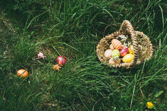A basket of colorful Easter eggs. Children are looking for Easter eggs in nature in the grass. Hunting for Easter eggs