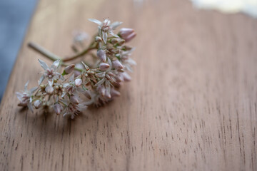 pequeño ramo de flores silvestres sobre tabla de madera