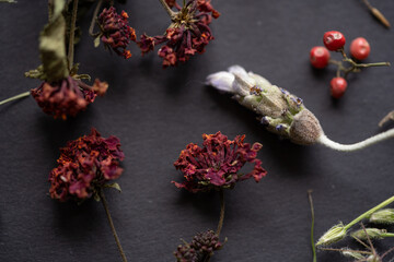 flores silvestres acomodadas sobre base de cartón negro