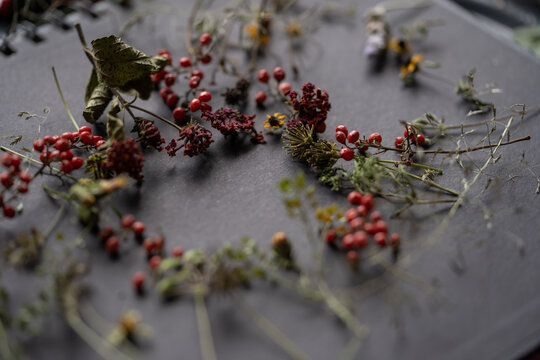 detalle de frutillas, flores y ramas silvestres sobre fondo negro dispuestas en forma circular