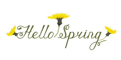 Vector banner with blooming dandelion and text. Spring greeting card concept in horizontal layout. Floral card with spring meadow flowers.