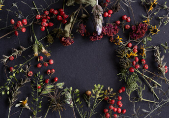 marco hecho de frutillas, ramas y flores silvestres con fondo negro 