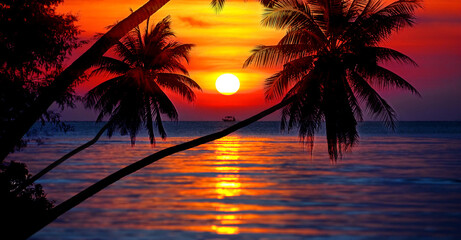 Sunset on tropical island sea beach panorama, ocean sunrise panoramic landscape, palm tree leaves...