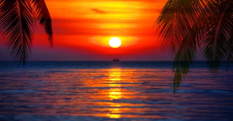 Tuinposter Sunset on tropical island sea beach panorama, ocean sunrise panoramic landscape, palm tree leaves silhouette, colorful orange red sky, yellow sun reflection, blue water waves, summer holiday, vacation © Vera NewSib