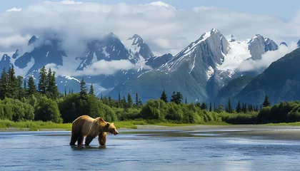 Fotobehang A bear is wading through a river with majestic mountains and lush forest in the background © Seasonal Wilderness