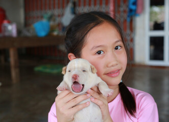 Asian young girl child showing Newborn puppies. Focus at a puppy in his hands. - 761953086