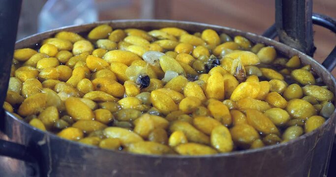 close up of boiling silk golden yellow cocoons is a part of the process of extracting silk fibers.