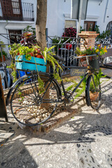 Fototapeta na wymiar Cute vintage bicycle covered in plants and flowers