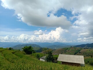landscape with sky