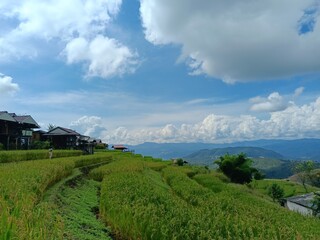 landscape in the mountains