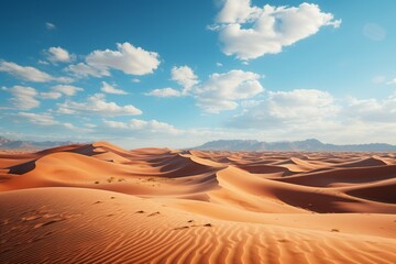 Fototapeta na wymiar Erg landscape with sand dunes, mountains, and cloudy sky