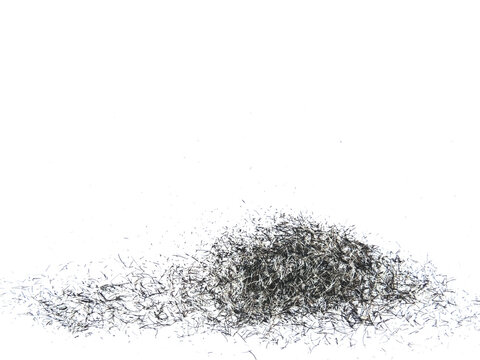 Fondo de pelos rasurados transparente