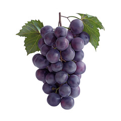 Juicy ripe grapes isolated on a white background, Healthy organic juicy fruit and fresh natural ingredients, AI generated, PNG transparent