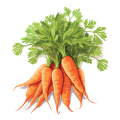 Vibrant carrot illustration perfect for carrot cake