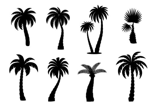 Jungle coconut palm trees silhouettes isolated vector monochrome icons set. Tropical beach plants with curve trunks and lush leaves. Symbols of exotic paradise, travel, vacation and seaside resort