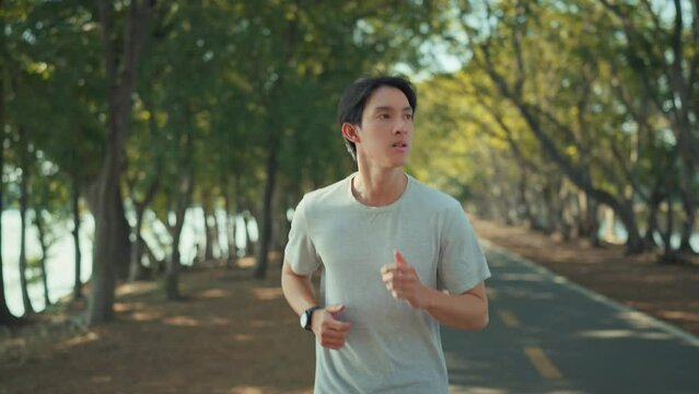 Front view - Attractive asian man jogging in the park on a background of trees with sunlight in sunset, Fitness Man Running, Training Run Workout