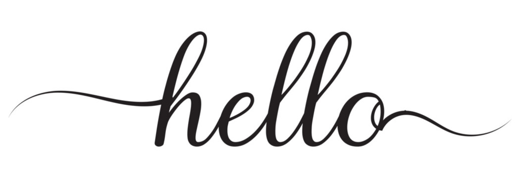 HELLO. Modern calligraphy script word hello. Hand-drawn cursive font text - hello. black letters, white background. Lettering typography poster, vector, design logo, lettering  Vector illustration.