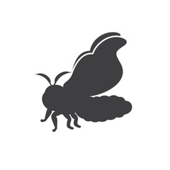 illustration of silkworm butterfly, vector art.