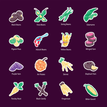 Collection of Beans and Veggies Flat Stickers 

