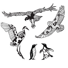 Wild Animals | Owl, Vulture, Crane, Penguin | Line Art