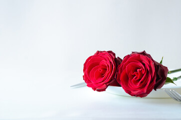 Two red roses put on plate with knife and fork on white background for anniversary and Valentine day concept.