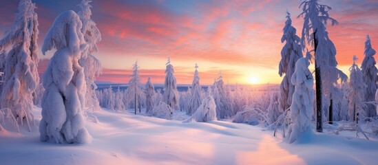Majestic Winter Sunset over Snowy Forest Trees in a Serene Landscape