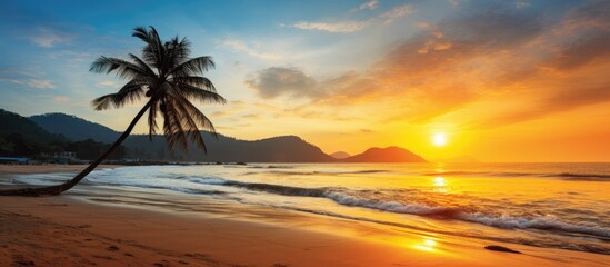 Serenity on the Horizon: Stunning Sunset View of a Tropical Beach with Majestic Palm Tree