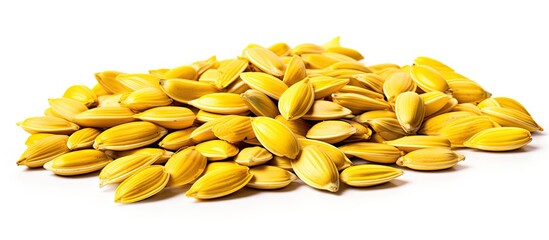 Golden sunflower seeds arranged on a crisp white background, ready for nutritious cooking or snacking