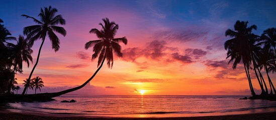 A peaceful shore with palm trees at sunset