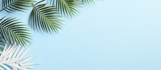 Fototapeta na wymiar Tropical green leaves on blue backdrop
