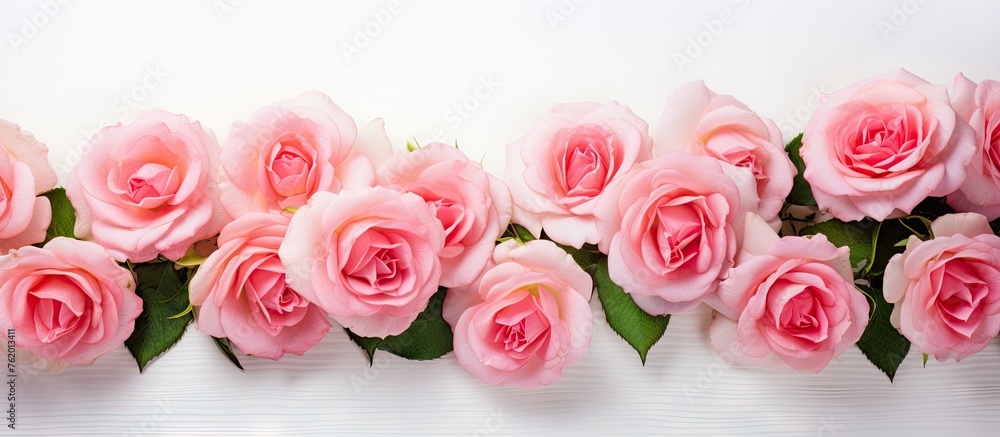 Sticker Pink roses on white wooden backdrop