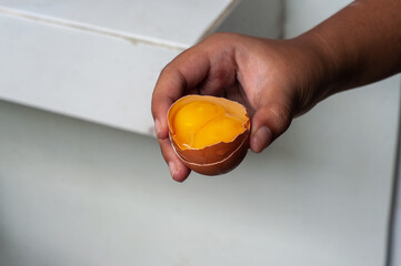 a chicken egg that has twin yolks