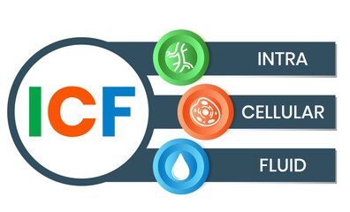 ICF - intracellular fluid acronym. medical concept background. vector illustration concept with keywords and icons. lettering illustration with icons for web banner, flyer