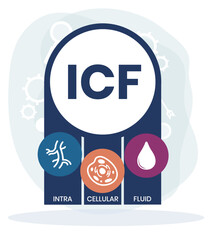 ICF - intracellular fluid acronym. medical concept background. vector illustration concept with keywords and icons. lettering illustration with icons for web banner, flyer