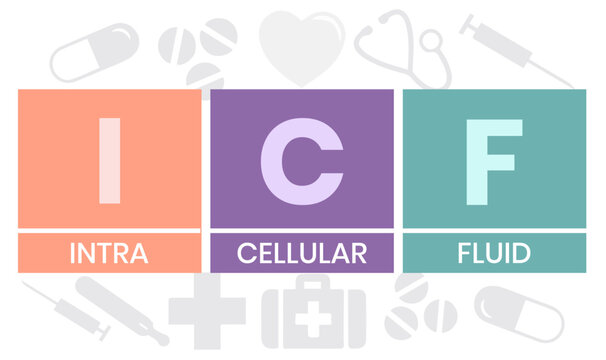 ICF - intracellular fluid acronym. medical concept background. vector illustration concept with keywords and icons. lettering illustration with icons for web banner, flyer