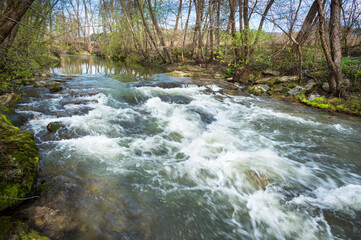 River lafnitz in spring, Styria Austria - 762025222